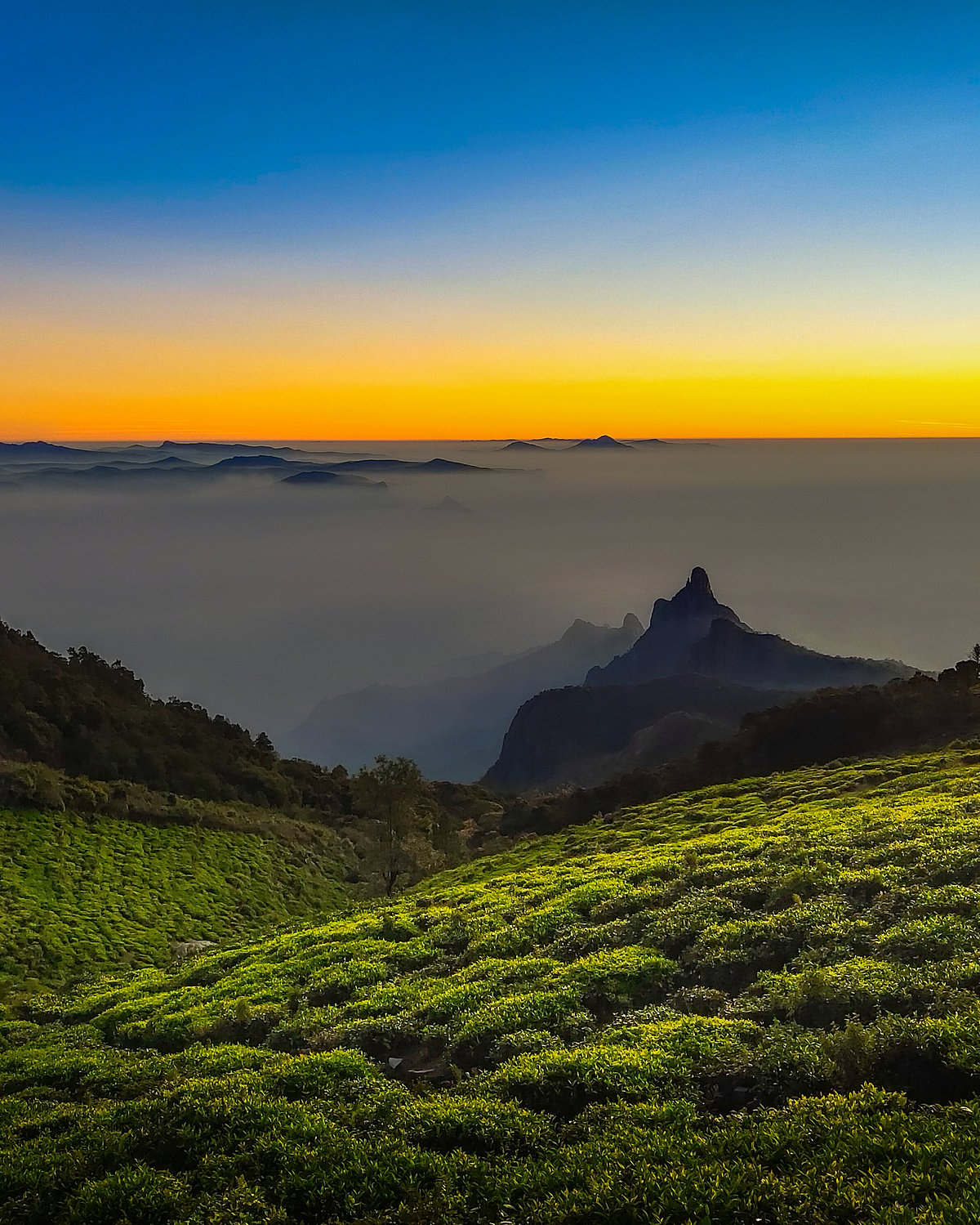 A view of the Nilgiris